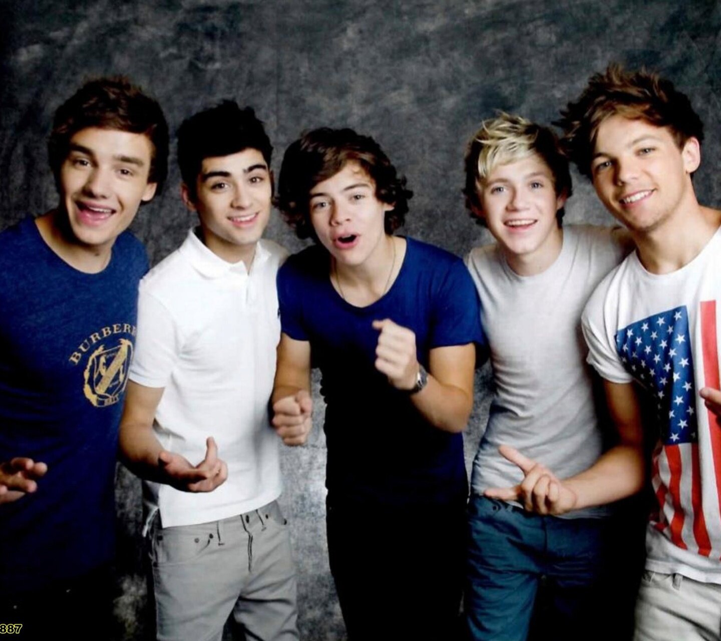 A Directioner that loves Liam Payne,Harry Styles,Niall Horan,Zayn Malik and the sass masta Louis Tomlinson