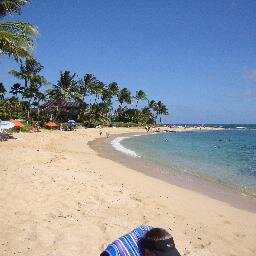 PelicanAlan's profile picture. 