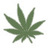 FindMyMeds's profile image