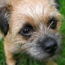 Gary Honey - @gary_honey1 - Twitter