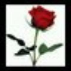 dana_20da's profile picture. 