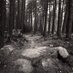 cmountain (@cmountainbikes) Twitter profile photo