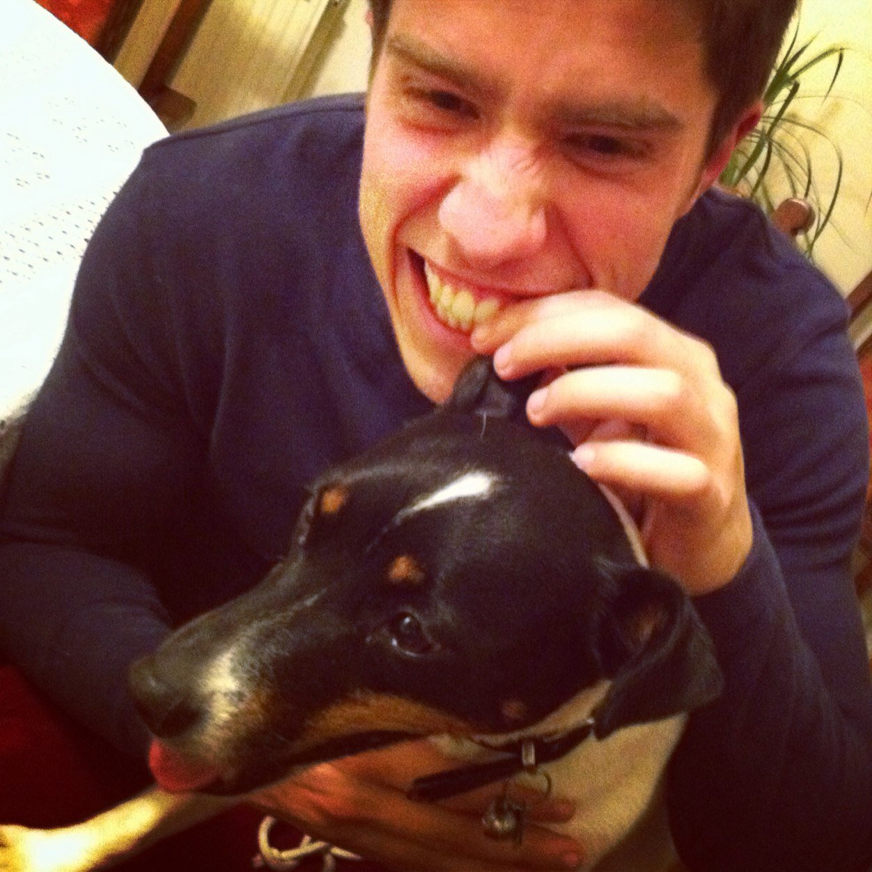 tomwest750's profile picture. 