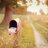 Amal_aljihni's profile image