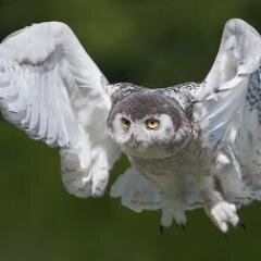 19david44's profile picture. 