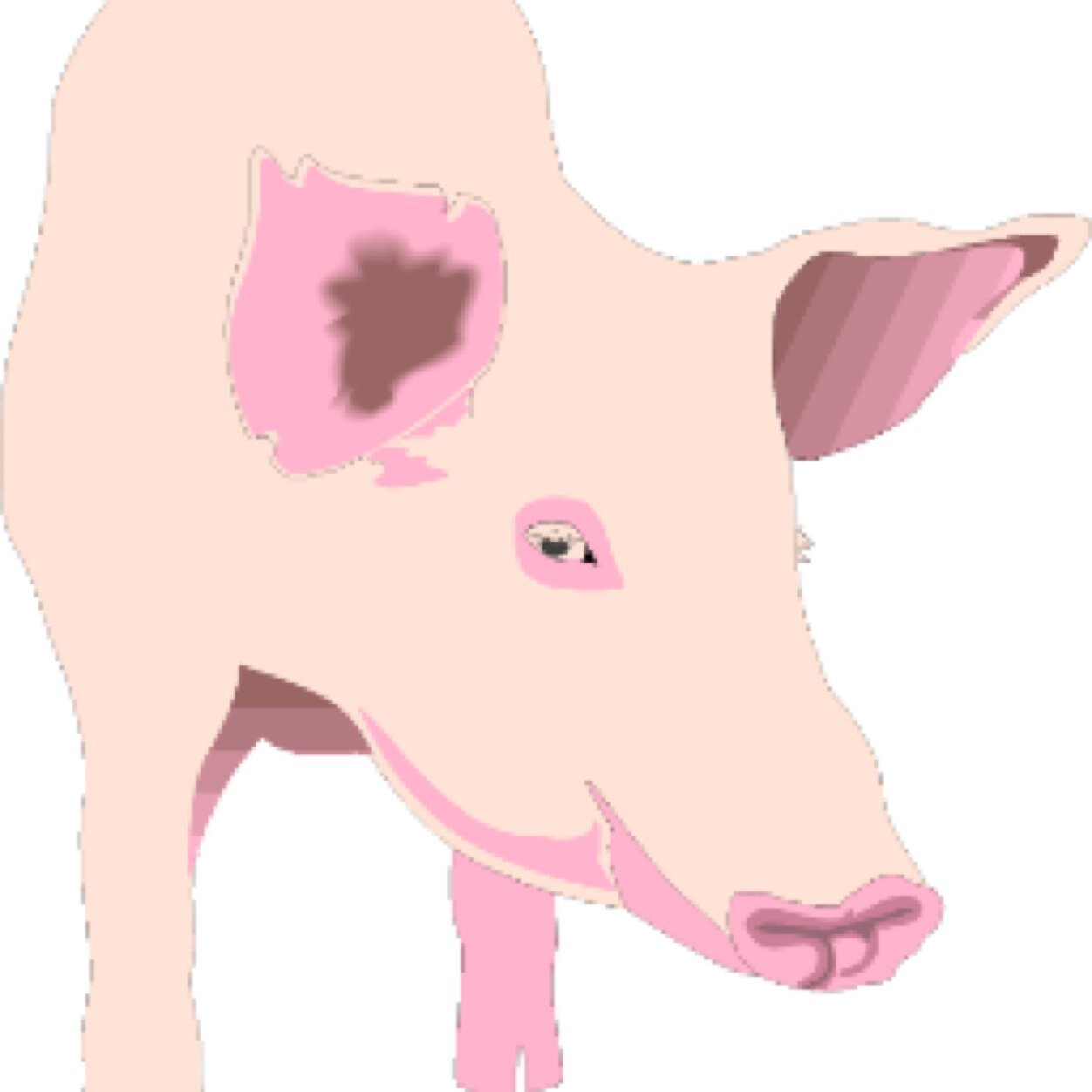 Food lover and snap-shot reviewer of UK pig-out spots in Yorkshire and beyond! Reviews are based on Truffle Rating = Quality. Trough Rating = Quantity