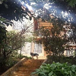 NewKitisuru's profile picture. 