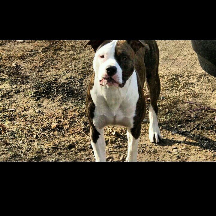 B_B_G_Y's profile picture. 