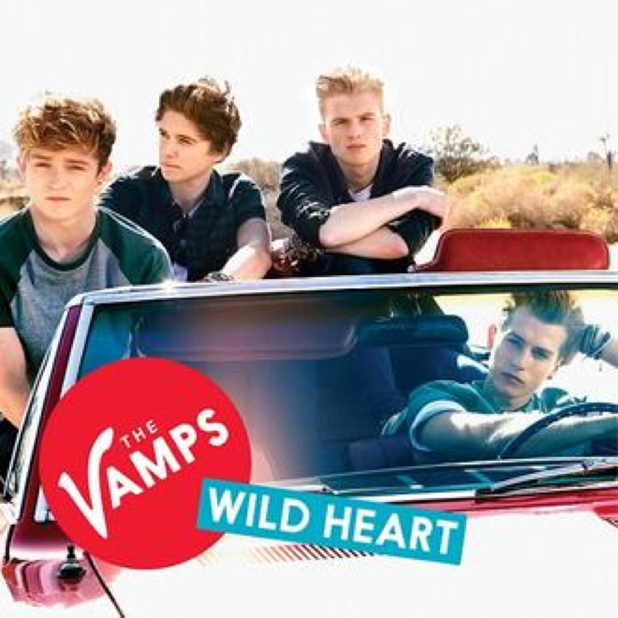 The Vamps Biggest Fan Goal-For @thevampsband @thevampstristan @thevampsbrad @thevampsjames @thevampscon to follow me!3