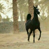 صمت (@__9mmt__) Twitter profile photo