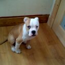 Andrew coles - @Gunner323 - Twitter