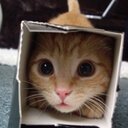 Paula Backman - @junebug060269 - Twitter