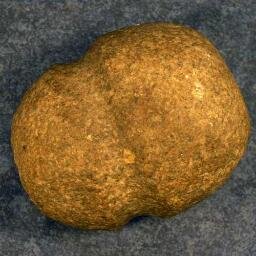 FirstPeoplesCan's profile picture. Educators all over North America offer rave reviews on this site Excellent website! Congratulations on a well thoughtout website and lovely design.