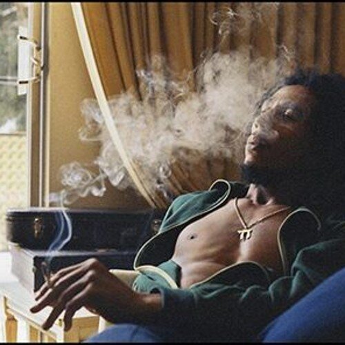 fredygarcia14's profile picture. Bien saben los de Babylon qe mi ganjah es una planta i qe a mi gente le gusta fumarla