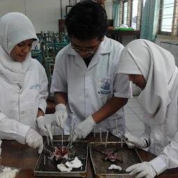 Ingin lebih banyak belajar dan memahami.