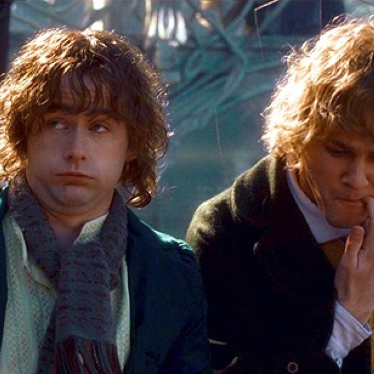 Pippin~ Home is behind the world ahead. And their are many paths to tread, trough shadows to the edge of night~