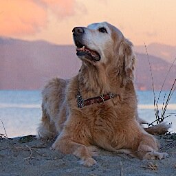 babyjack2011's profile picture. 