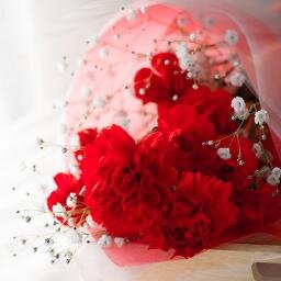 naochan4's profile picture. 恥ずかしくてよう書けません。