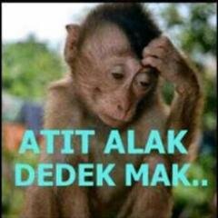 SAS zzzz
zxx
z
x
dkf
bariy fk