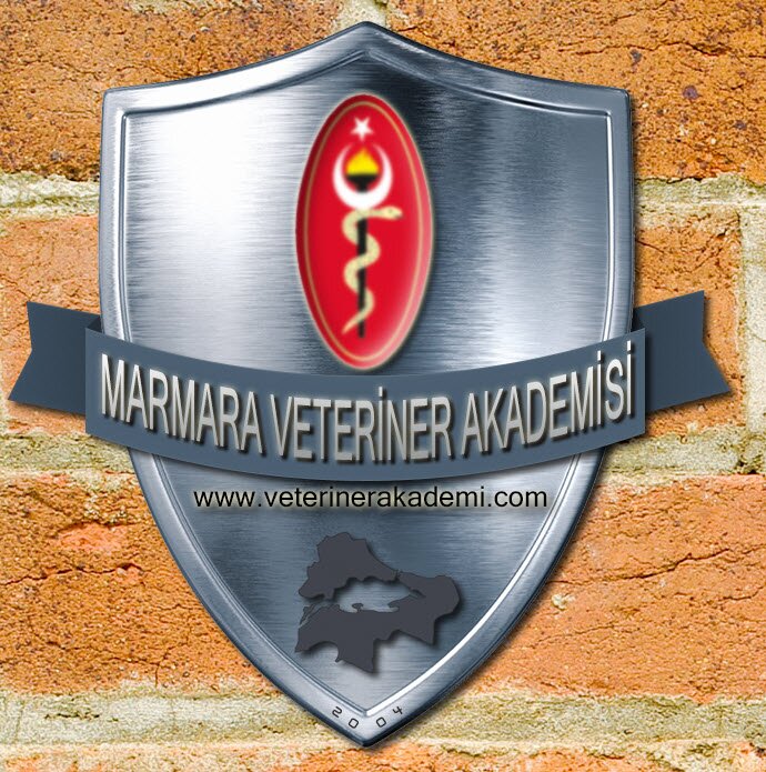 baytarbasi's profile picture. 