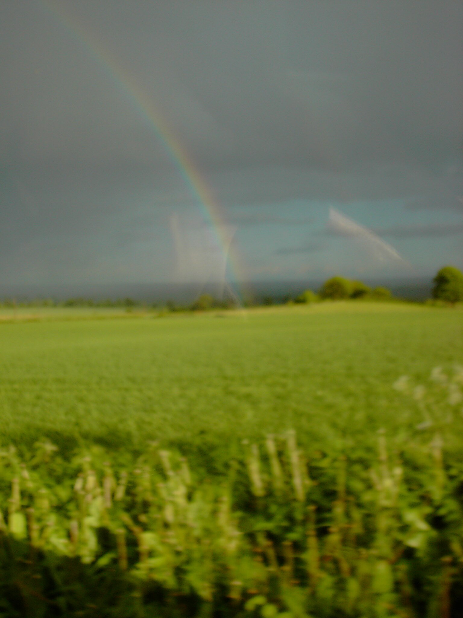 teesdalewire's profile picture. Wire Teesdale Network - Women in Rural Enterprise network group Barnard Castle. All Welcome Please get in touch!
