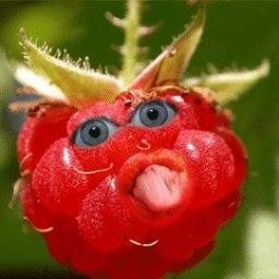 gaebby2009's profile picture. 