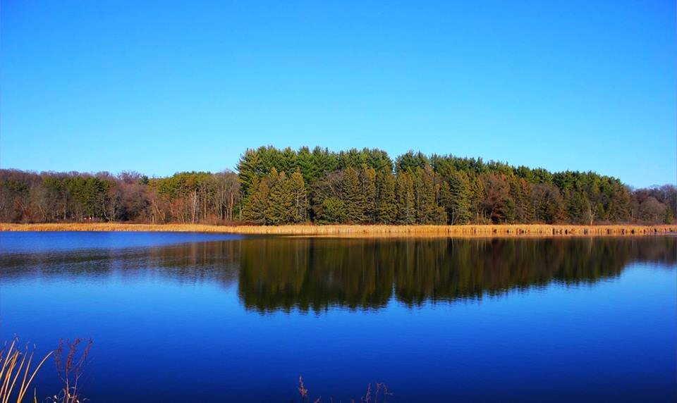 lifeislikequot1's profile picture. Quotes for life