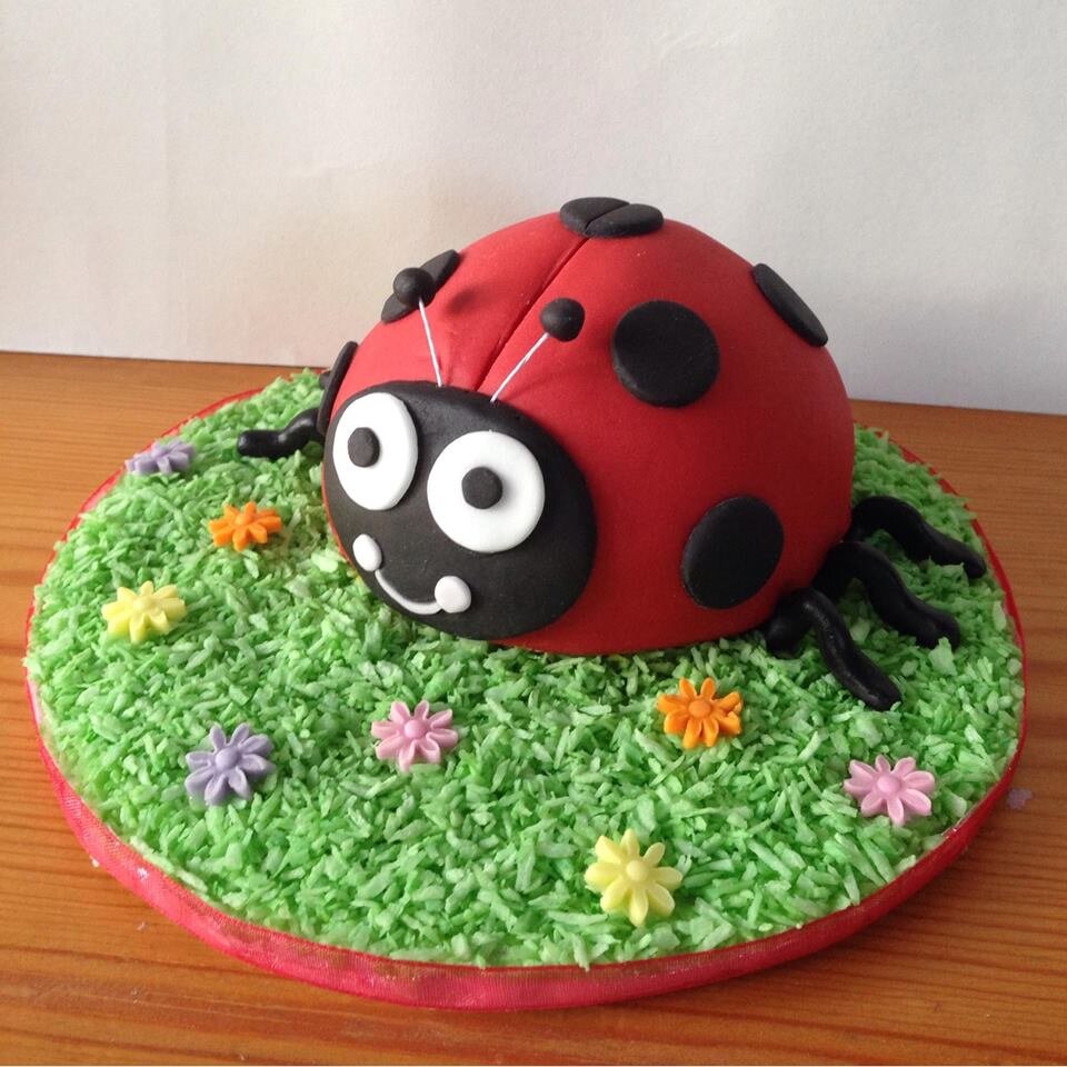 cake_cottage's profile picture. Bespoke cakes made with the finest ingredients so your cake not only looks good but tastes great too.