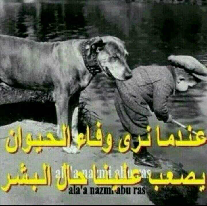 ‏‏‏‏♥كلنا راااااحلون فهنيئا لمن امتلئت صحيفته بالحسنااات♥