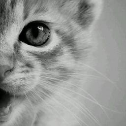 BetzyHer's profile picture. Sé que no soy perfecta, pero al menos no soy falsa! soy comunicóloga amo las relaciones públicas, crecimiento constante  profesionalmente y más...