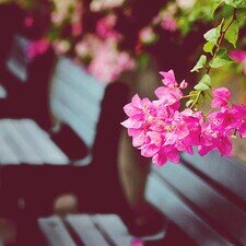 ‏‏‏الفكره تقريبا معروفه - ارسل كلام بالدي ام مع اكاونت الشخص اللي تبي ترسل له - و بأمانه ماراح يطلع مين المرسل ♥