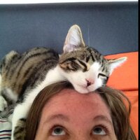 Bex Webb (@missbeccywebb) 's Twitter Profile