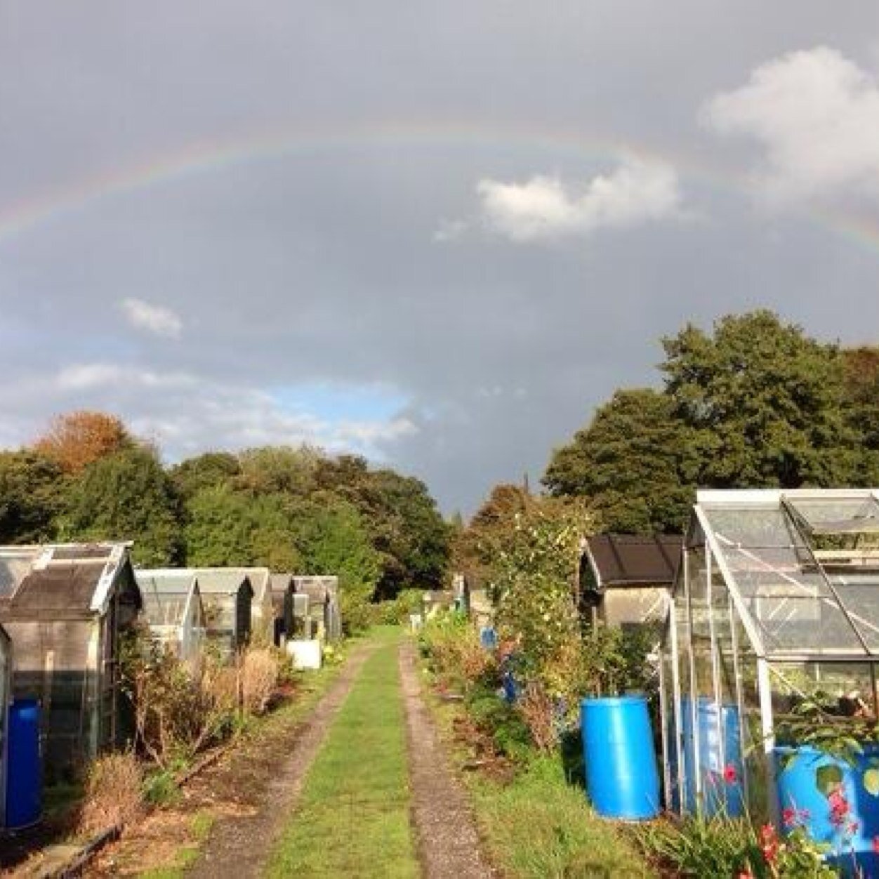 One man and his spade - regular tweets from the allotment throughout 2024!