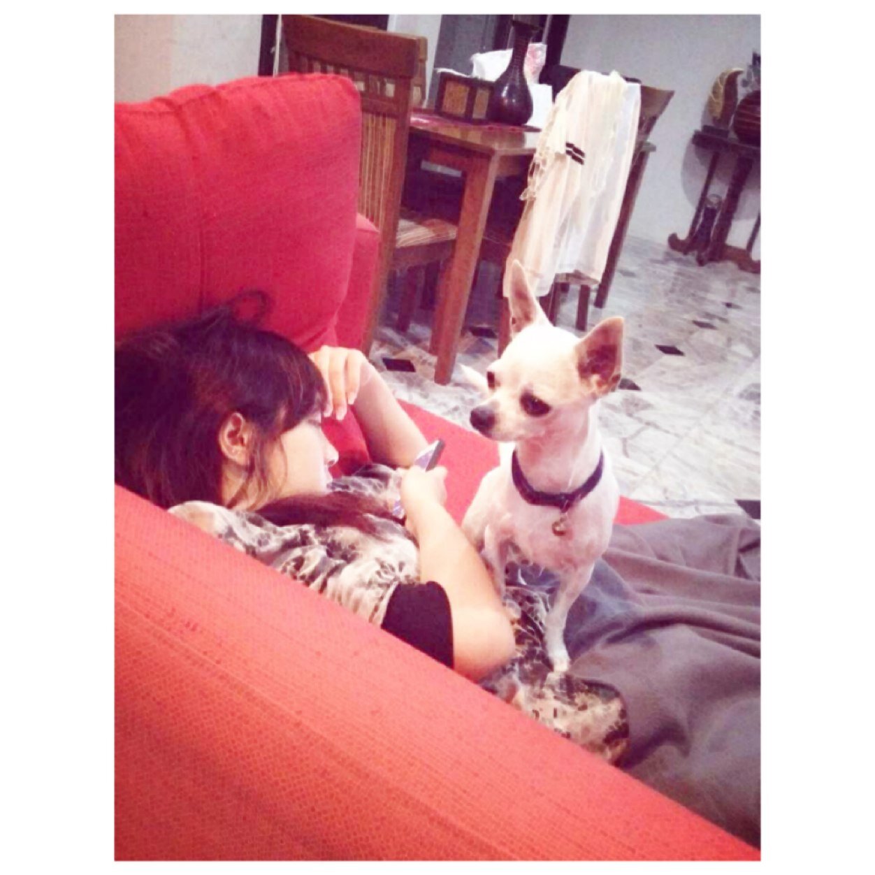 Qaluyyjiw's profile picture. EISB.thebest -
❤️touch