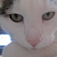 RNA (@rna190) 's Twitter Profile