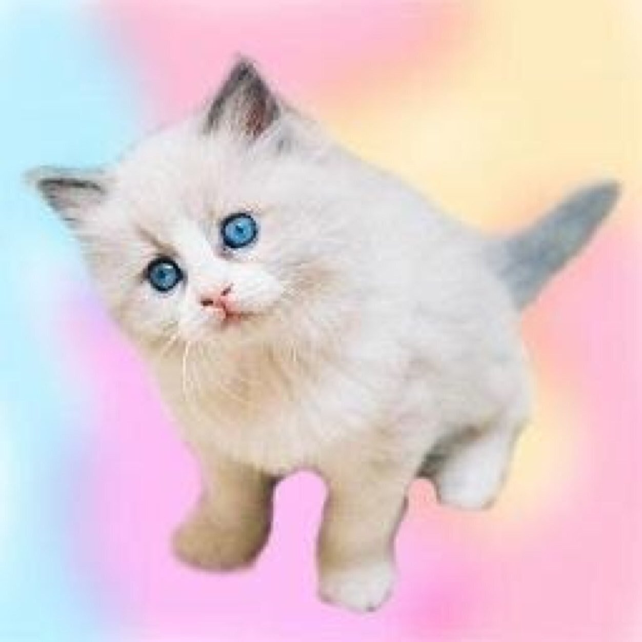 Follow!!! @HuntressKat!!! Now!!