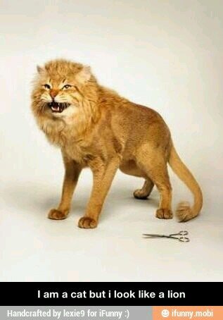 MyCatIsADerp's profile picture. Adam Young is perfect. ~~Pour me a heavy dose of atmosphere~~