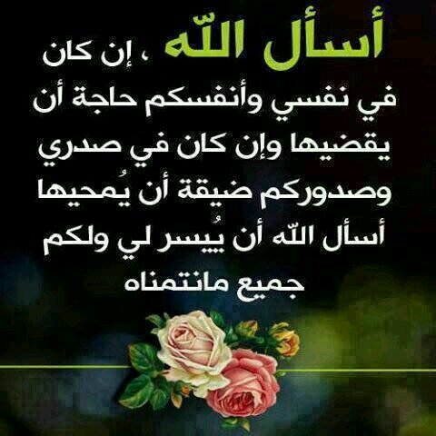 yosf4490's profile picture. 