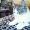 katie colley - @enderglance2000 - Twitter