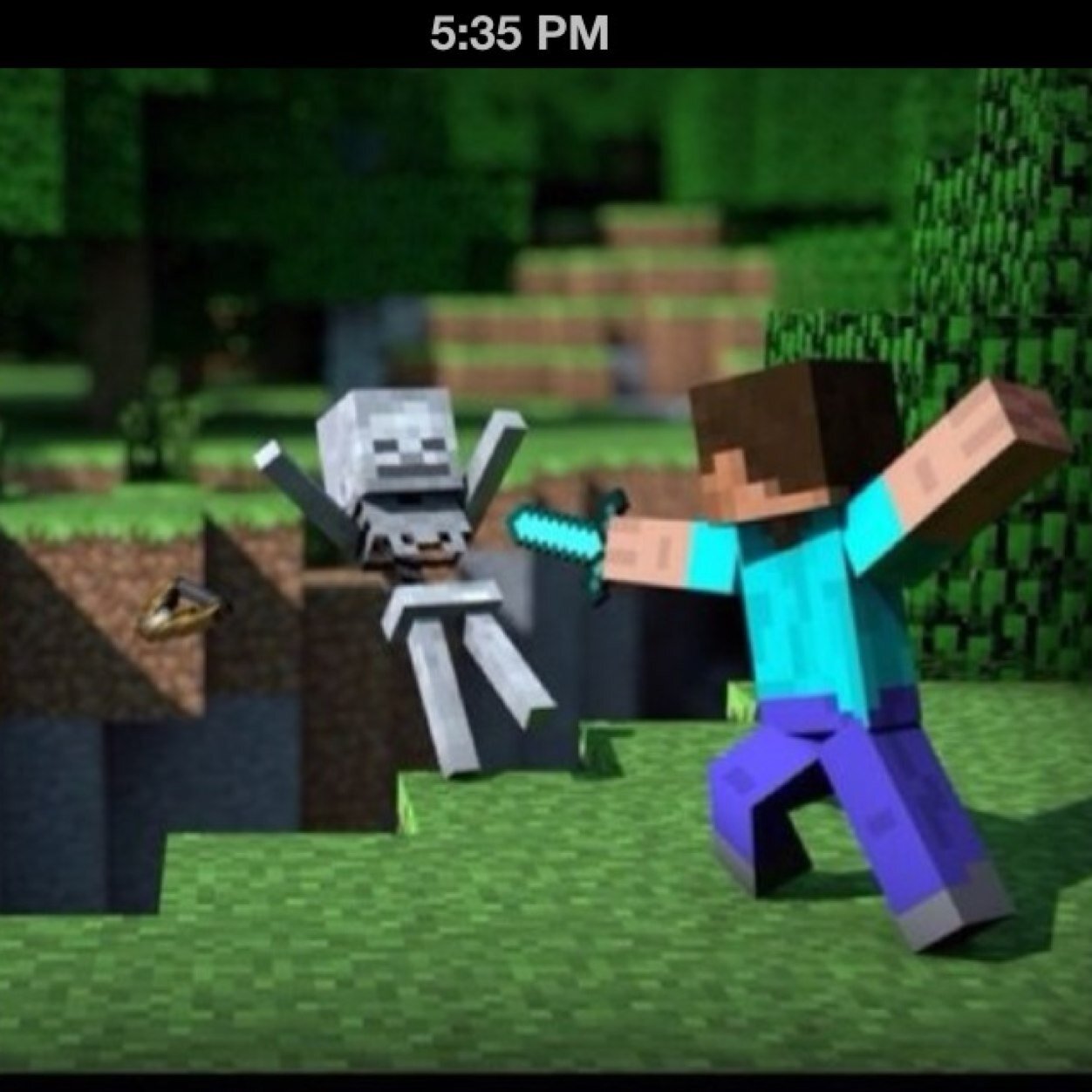 I like to play mincraft on pc and on mcpe
