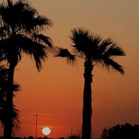صالحة الجعيد (@emst1212) 's Twitter Profile
