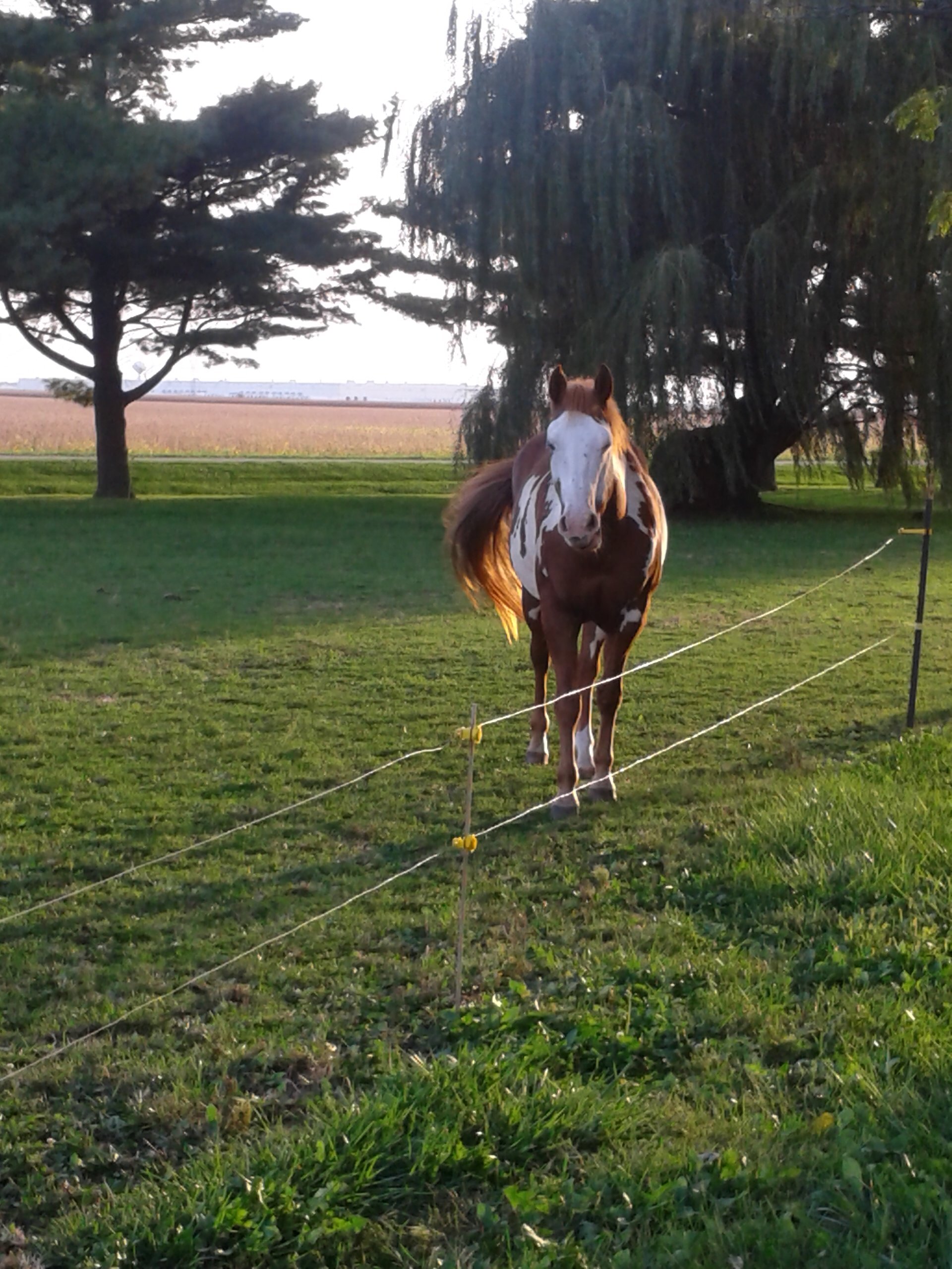 suttonkathy1's profile picture. 