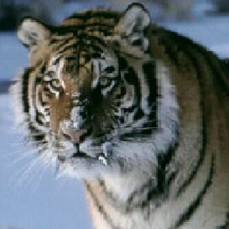 regasan15's profile picture. 