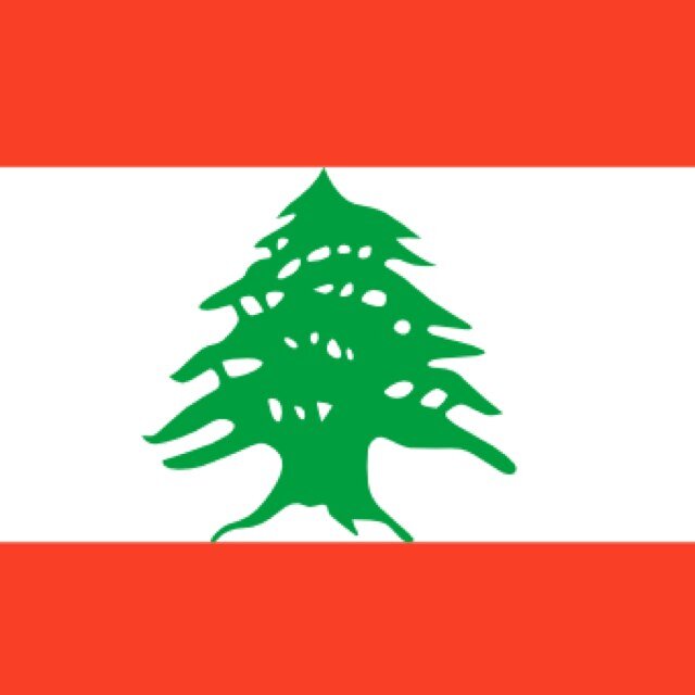 UnitedLebanon's profile picture. 
