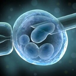 Reproductive genetic Specialist, PhD from @UCL Establisher of PGT unit @KAU, @CIPM_KAU, Associated Prof. @FAMS_KAU