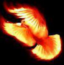 SAGRNL's profile picture. Huggable, Cuddleable Teddy Bear.🐻
#Realistic Dreamer.