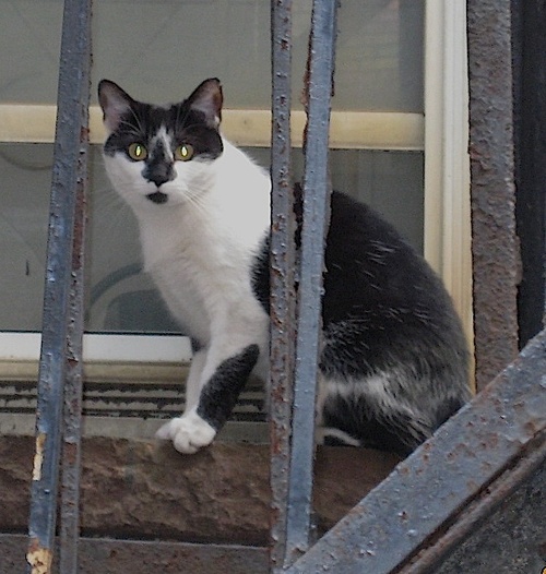 Sendresume's profile picture. We are recruiters specializing in technology & internet.  We find people jobs.  Good jobs!