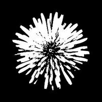 Dandelion Wine (@dw_band) 's Twitter Profile