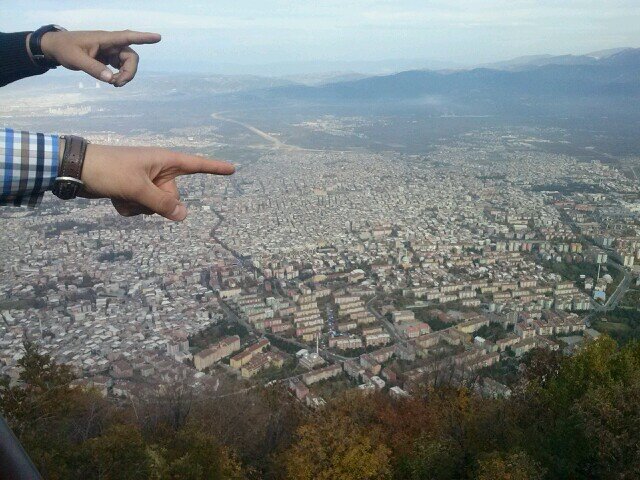 alikaman19 Profile Picture