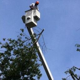 We provide excellent customer care, superior tree care, and have an exceptional safety record - (609)585-4356 - 126 Grandview Ave